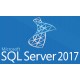 Microsoft SQL Server 2017 Enterprise 7JQ-01275